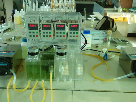 �㶫�����ﴦ��վ